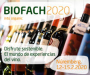 BF20_WEIN_300x250_ES_stat