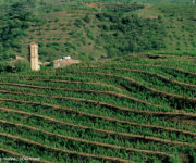 Priorat