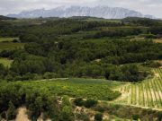 do_cava_landscape_3-original