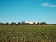 btl_carrascas-primavera-8