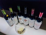 rippa-dorii-para-mi-vino-03