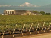 bodega-septima-8