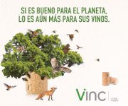 cs_vinc_es_banner_300x250px_mi-vino-2