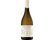tintoralba-blanc-de-noir-bot-newsletter